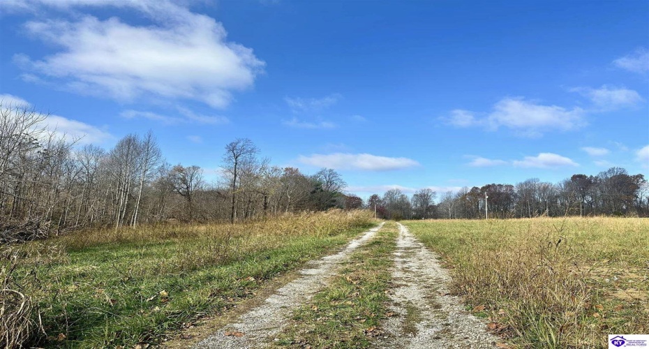 Pitman Valley Road, Campbellsville, Kentucky 42718, ,2 BathroomsBathrooms,For Sale,Pitman Valley Road,HK24004505