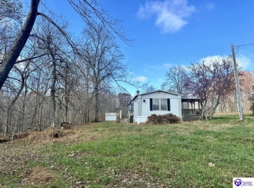 Pitman Valley Road, Campbellsville, Kentucky 42718, ,2 BathroomsBathrooms,For Sale,Pitman Valley Road,HK24004505