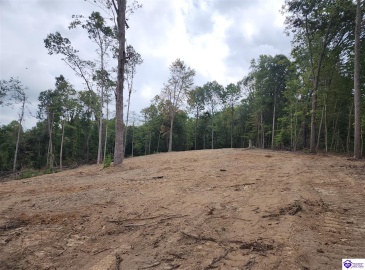 Leitchfield Road, Cecilia, Kentucky 42724, ,For Sale,Leitchfield Road,HK24004506