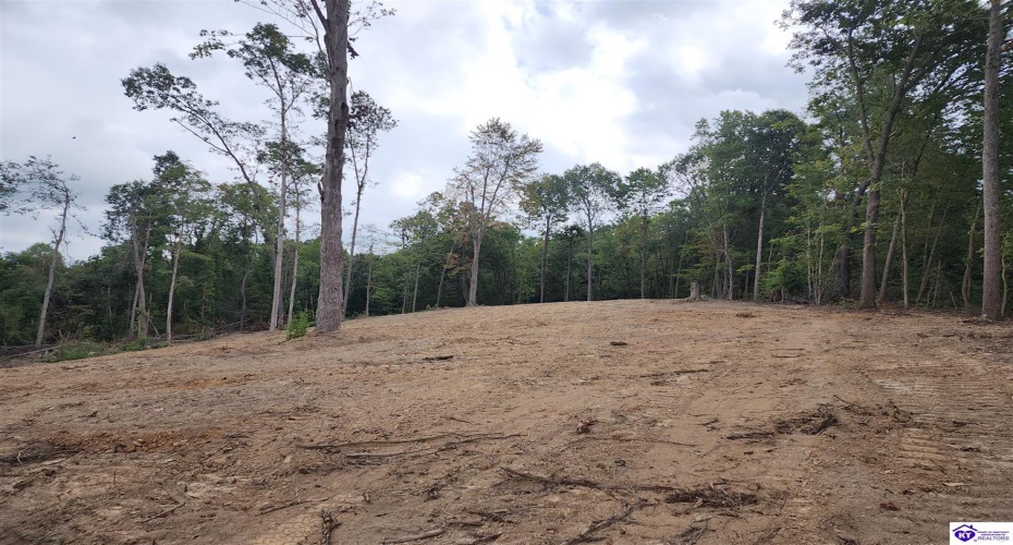 Leitchfield Road, Cecilia, Kentucky 42724, ,For Sale,Leitchfield Road,HK24004506