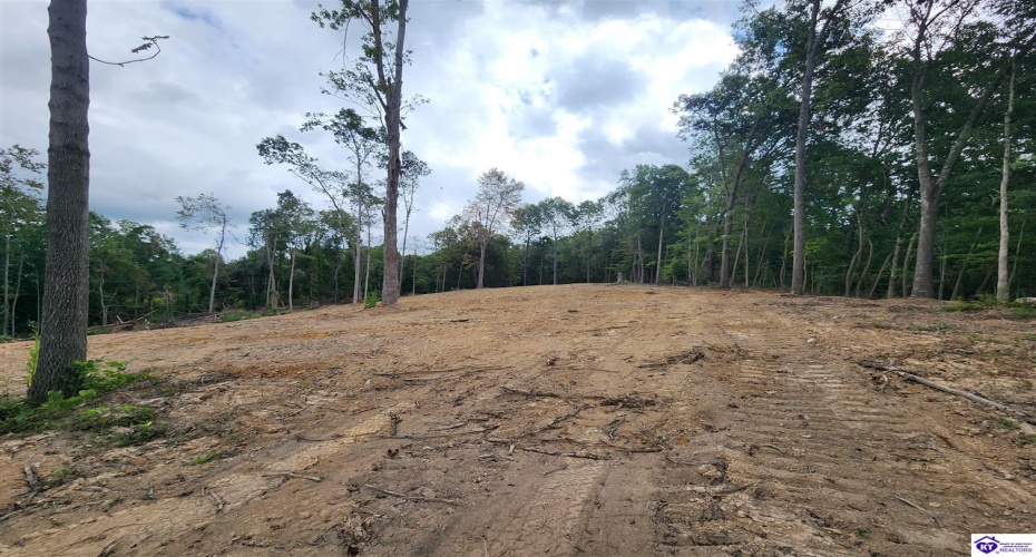 Leitchfield Road, Cecilia, Kentucky 42724, ,For Sale,Leitchfield Road,HK24004506