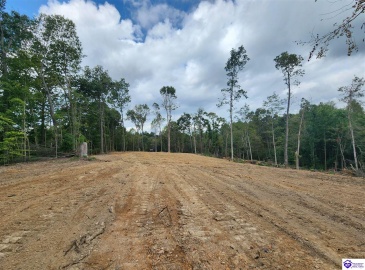 Leitchfield Road, Cecilia, Kentucky 42724, ,For Sale,Leitchfield Road,HK24004506