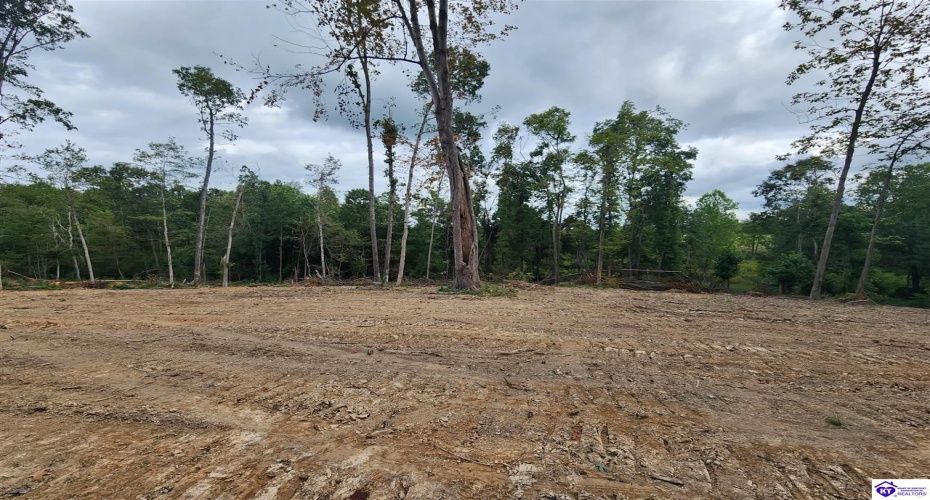 Leitchfield Road, Cecilia, Kentucky 42724, ,For Sale,Leitchfield Road,HK24004506