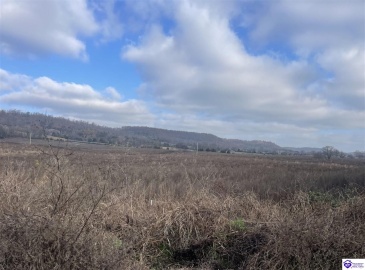 North Dixie Hwy, Horse Cave, Kentucky 42749, ,For Sale,North Dixie Hwy,HK24004507