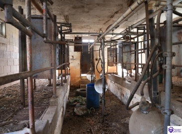 North Dixie Hwy, Horse Cave, Kentucky 42749, ,For Sale,North Dixie Hwy,HK24004508