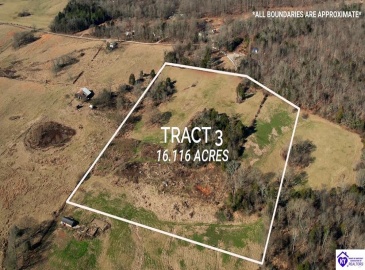 North Dixie Hwy, Horse Cave, Kentucky 42749, ,For Sale,North Dixie Hwy,HK24004510