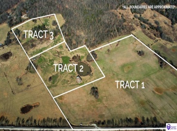 North Dixie Hwy, Horse Cave, Kentucky 42749, ,For Sale,North Dixie Hwy,HK24004510