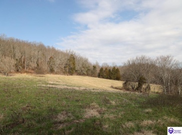 North Dixie Hwy, Horse Cave, Kentucky 42749, ,For Sale,North Dixie Hwy,HK24004510