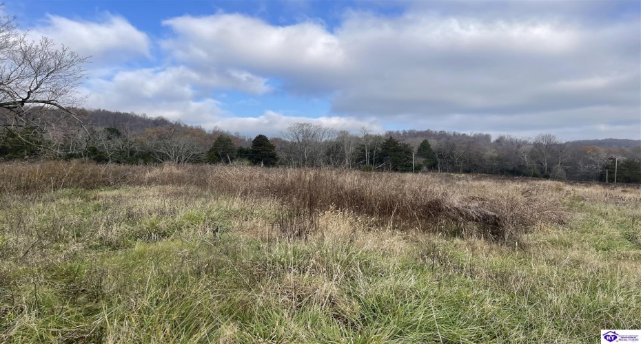 North Dixie Hwy, Horse Cave, Kentucky 42749, ,For Sale,North Dixie Hwy,HK24004510