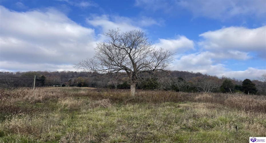 North Dixie Hwy, Horse Cave, Kentucky 42749, ,For Sale,North Dixie Hwy,HK24004510