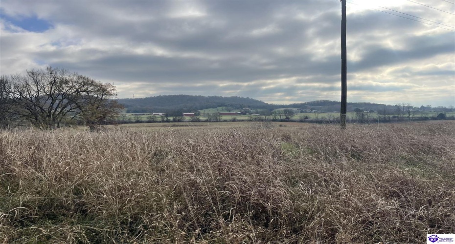 London Pace Sink Road, Horse Cave, Kentucky 42749, ,For Sale,London Pace Sink Road,HK24004512