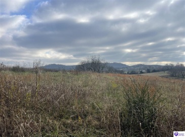 London Pace Sink Road, Horse Cave, Kentucky 42749, ,For Sale,London Pace Sink Road,HK24004512