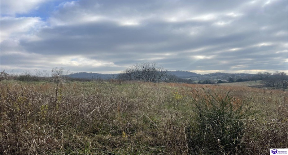 London Pace Sink Road, Horse Cave, Kentucky 42749, ,For Sale,London Pace Sink Road,HK24004512