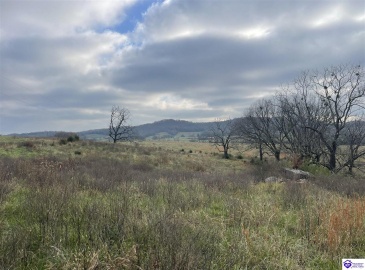 London Pace Sink Road, Horse Cave, Kentucky 42749, ,For Sale,London Pace Sink Road,HK24004512