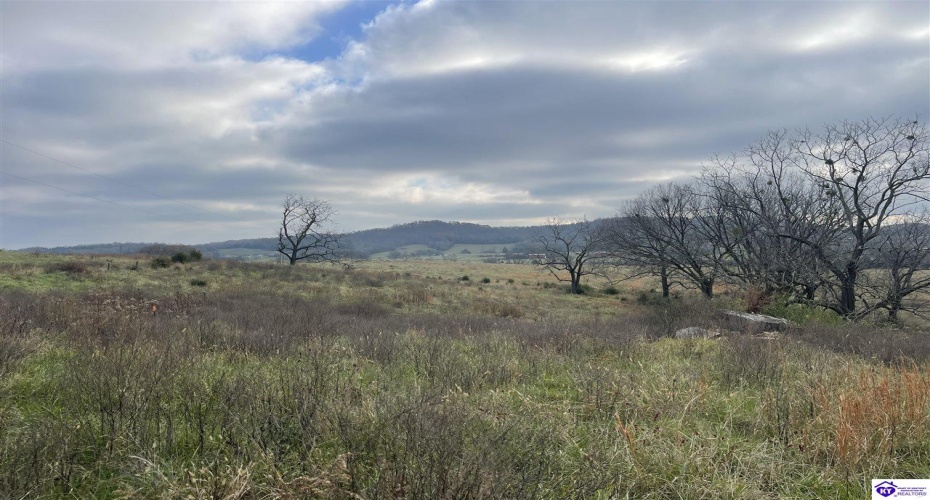 London Pace Sink Road, Horse Cave, Kentucky 42749, ,For Sale,London Pace Sink Road,HK24004512