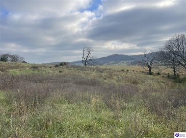 London Pace Sink Road, Horse Cave, Kentucky 42749, ,For Sale,London Pace Sink Road,HK24004512