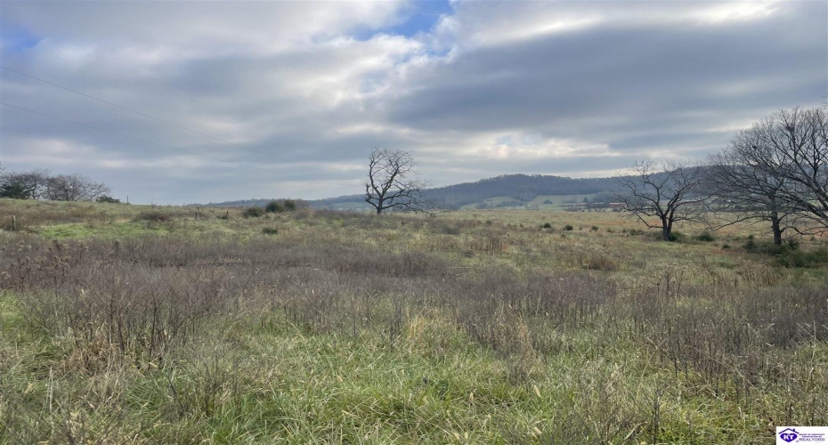 London Pace Sink Road, Horse Cave, Kentucky 42749, ,For Sale,London Pace Sink Road,HK24004512