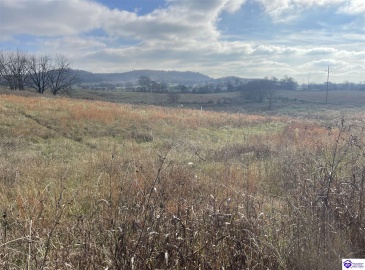 London Pace Sink Road, Horse Cave, Kentucky 42749, ,For Sale,London Pace Sink Road,HK24004513