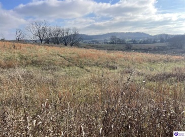 London Pace Sink Road, Horse Cave, Kentucky 42749, ,For Sale,London Pace Sink Road,HK24004513