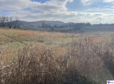 London Pace Sink Road, Horse Cave, Kentucky 42749, ,For Sale,London Pace Sink Road,HK24004513