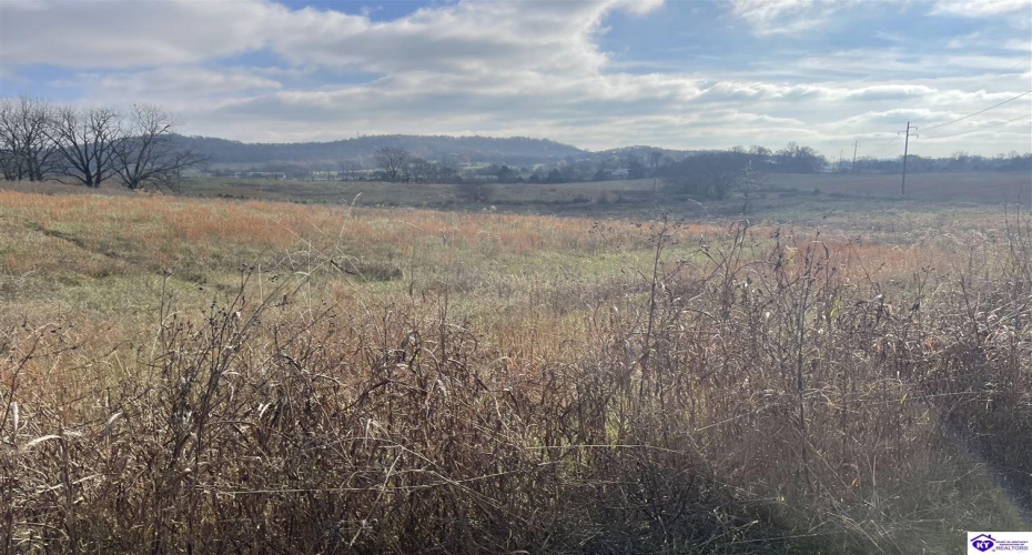 London Pace Sink Road, Horse Cave, Kentucky 42749, ,For Sale,London Pace Sink Road,HK24004513