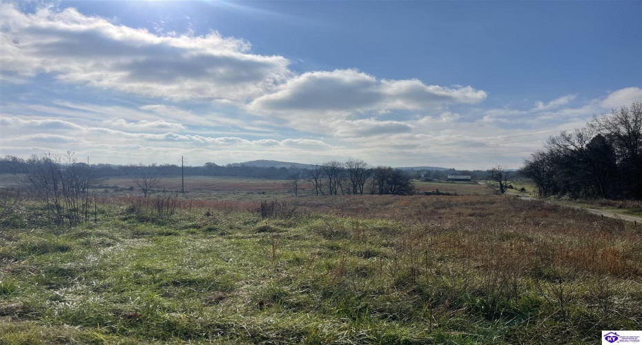 London Pace Sink Road, Horse Cave, Kentucky 42749, ,For Sale,London Pace Sink Road,HK24004515