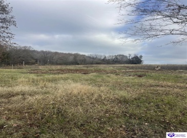 London Pace Sink Road, Horse Cave, Kentucky 42749, ,For Sale,London Pace Sink Road,HK24004516