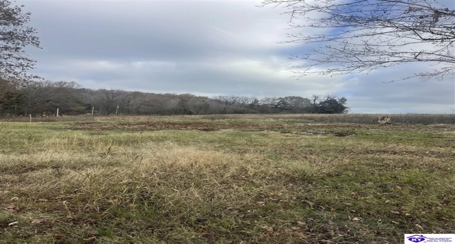 London Pace Sink Road, Horse Cave, Kentucky 42749, ,For Sale,London Pace Sink Road,HK24004516