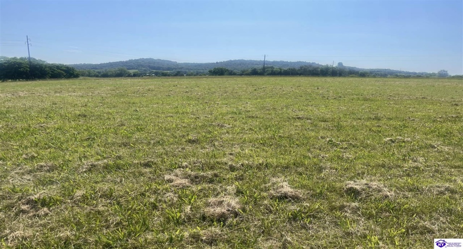 London Pace Sink Road, Horse Cave, Kentucky 42749, ,For Sale,London Pace Sink Road,HK24004517