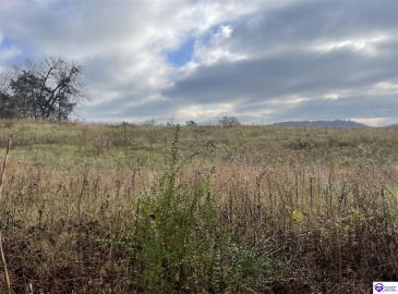 London Pace Sink Road, Horse Cave, Kentucky 42749, ,For Sale,London Pace Sink Road,HK24004518