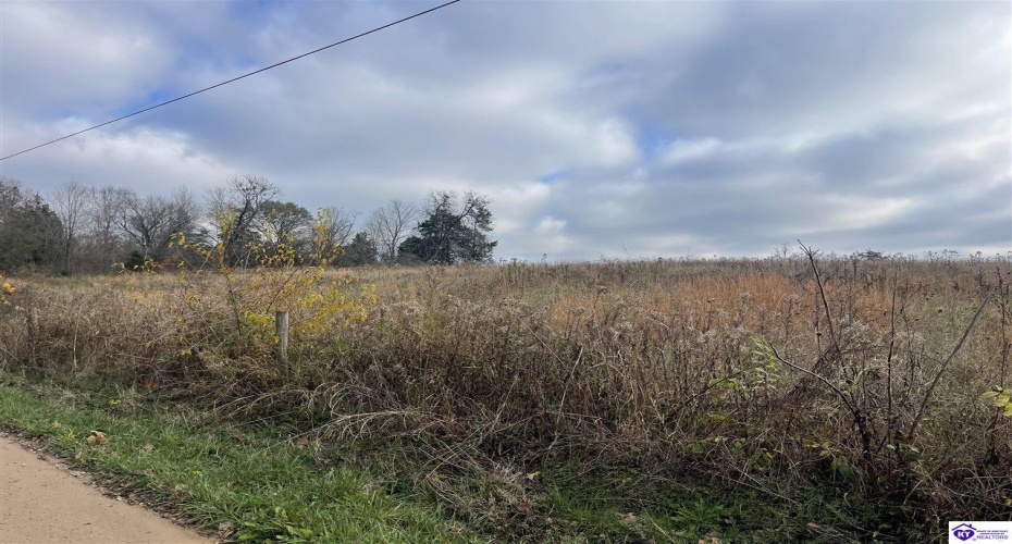 London Pace Sink Road, Horse Cave, Kentucky 42749, ,For Sale,London Pace Sink Road,HK24004518