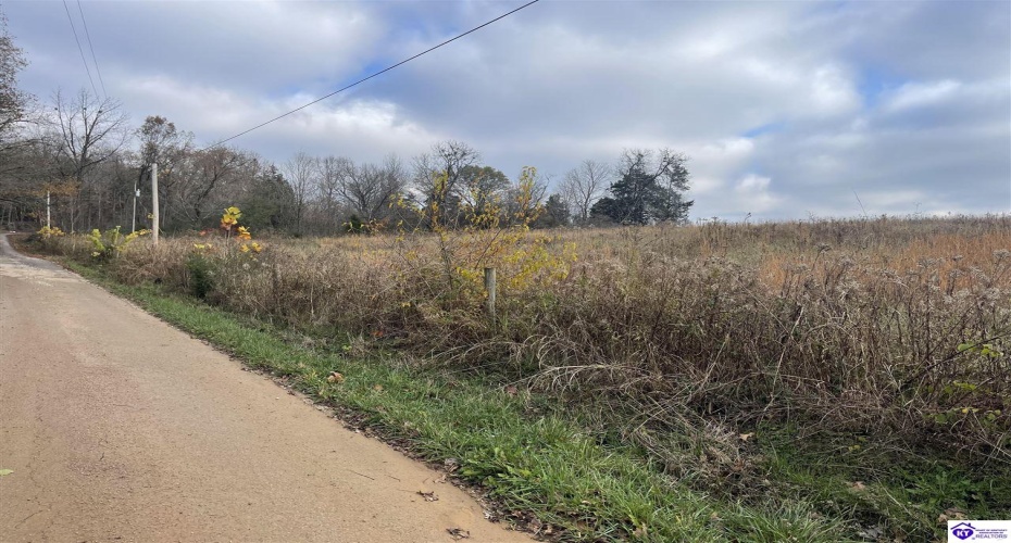 London Pace Sink Road, Horse Cave, Kentucky 42749, ,For Sale,London Pace Sink Road,HK24004518