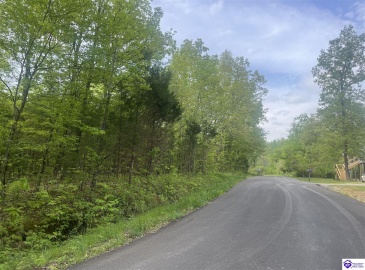 Cartwright Estates Road, Lebanon Junction, Kentucky 40150, ,For Sale,Cartwright Estates Road,HK24004530