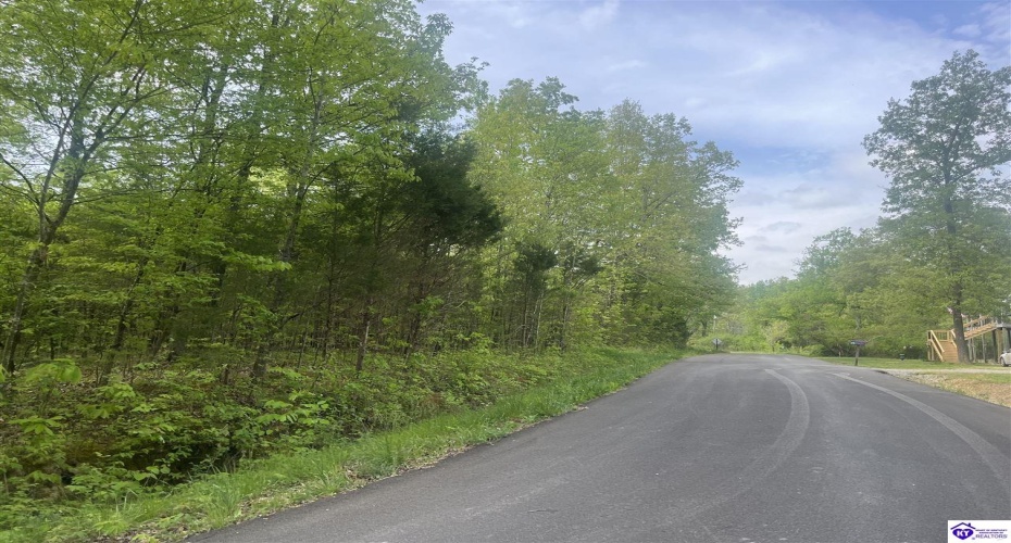 Cartwright Estates Road, Lebanon Junction, Kentucky 40150, ,For Sale,Cartwright Estates Road,HK24004530