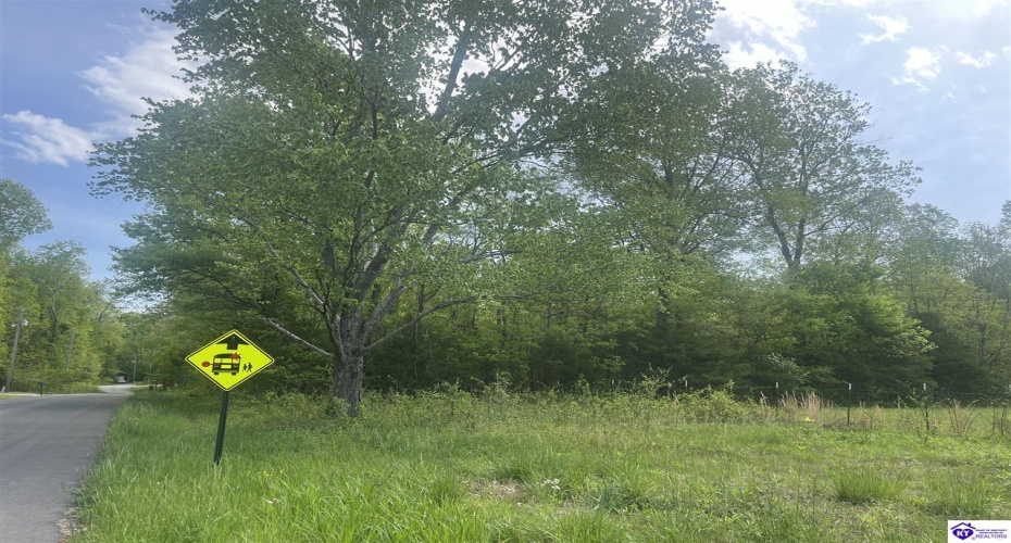 Cartwright Estates Road, Lebanon Junction, Kentucky 40150, ,For Sale,Cartwright Estates Road,HK24004530