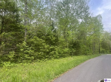Cartwright Estates Road, Lebanon Junction, Kentucky 40150, ,For Sale,Cartwright Estates Road,HK24004530
