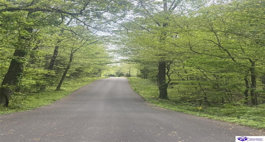 Cartwright Estates Road, Lebanon Junction, Kentucky 40150, ,For Sale,Cartwright Estates Road,HK24004530