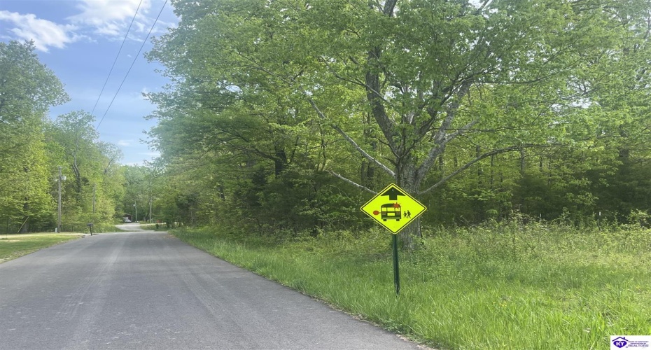 Cartwright Estates Road, Lebanon Junction, Kentucky 40150, ,For Sale,Cartwright Estates Road,HK24004530