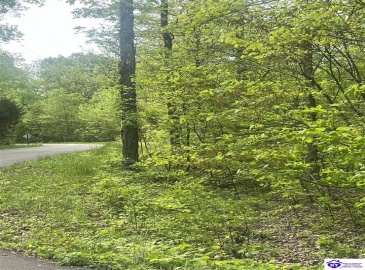 Cartwright Estates Road, Lebanon Junction, Kentucky 40150, ,For Sale,Cartwright Estates Road,HK24004530