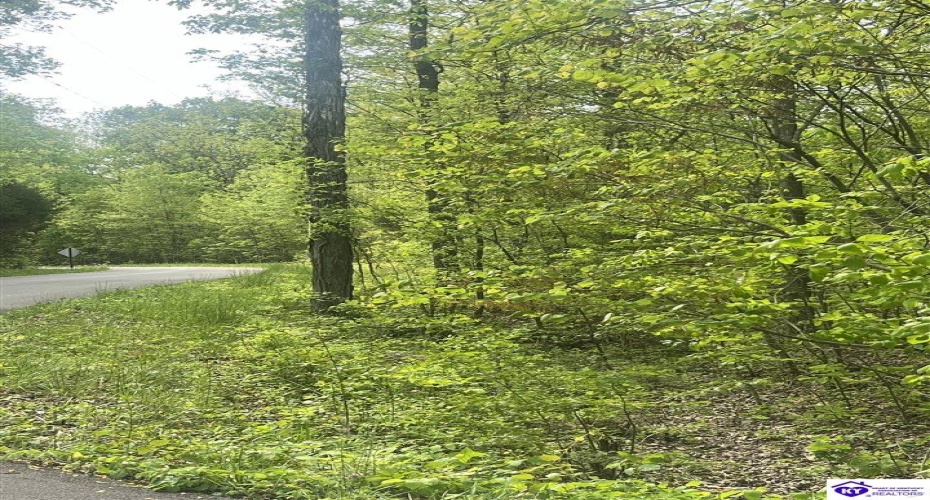 Cartwright Estates Road, Lebanon Junction, Kentucky 40150, ,For Sale,Cartwright Estates Road,HK24004530