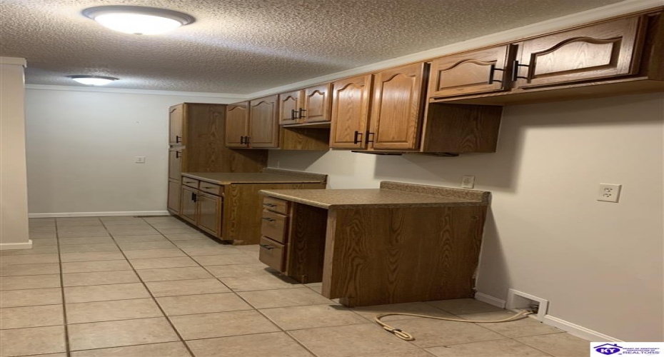 James Duvall Lane, Cecilia, Kentucky 42724, ,2 BathroomsBathrooms,For Sale,James Duvall Lane,HK24004526