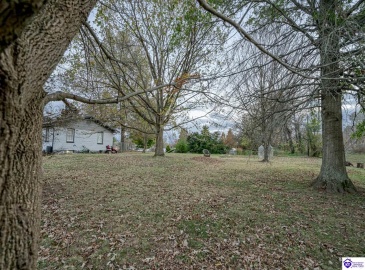 Chester Street, Leitchfield, Kentucky 42754, ,3 BathroomsBathrooms,For Sale,Chester Street,HK24004528