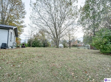 Chester Street, Leitchfield, Kentucky 42754, ,3 BathroomsBathrooms,For Sale,Chester Street,HK24004528