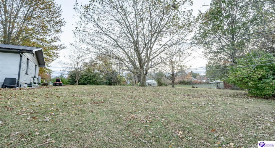 Chester Street, Leitchfield, Kentucky 42754, ,3 BathroomsBathrooms,For Sale,Chester Street,HK24004528