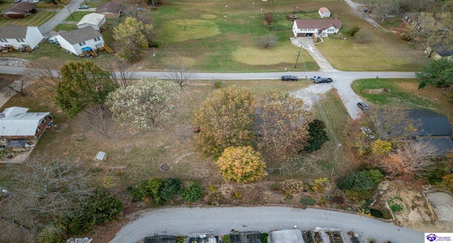 Chester Street, Leitchfield, Kentucky 42754, ,3 BathroomsBathrooms,For Sale,Chester Street,HK24004528