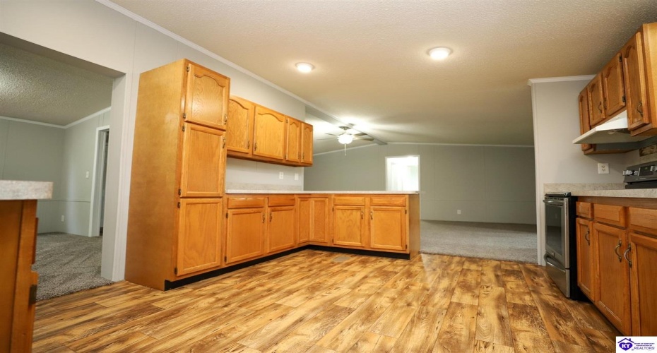 Antioch Church Road, Big Clifty, Kentucky 42712, ,2 BathroomsBathrooms,For Sale,Antioch Church Road,HK24004540