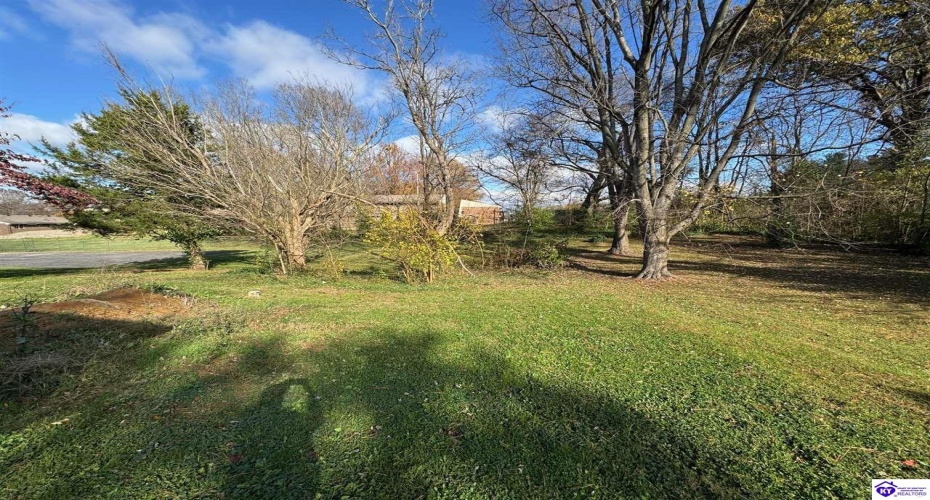 Bowman Street, Campbellsville, Kentucky 42718, ,1 BathroomBathrooms,For Sale,Bowman Street,HK24004543