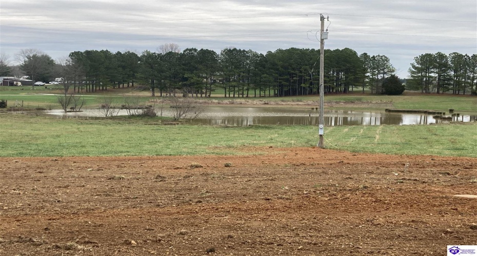 Wilmoth Lane, Cecilia, Kentucky 42724, ,2 BathroomsBathrooms,For Sale,Wilmoth Lane,HK24004547