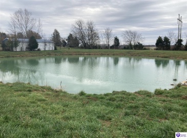 Wilmoth Lane, Cecilia, Kentucky 42724, ,2 BathroomsBathrooms,For Sale,Wilmoth Lane,HK24004547