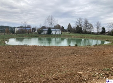 Wilmoth Lane, Cecilia, Kentucky 42724, ,2 BathroomsBathrooms,For Sale,Wilmoth Lane,HK24004547